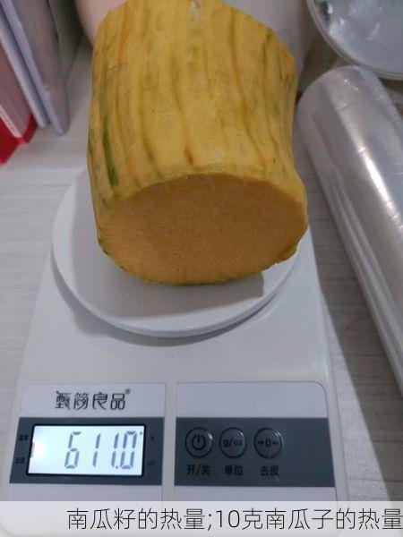 南瓜籽的热量;10克南瓜子的热量