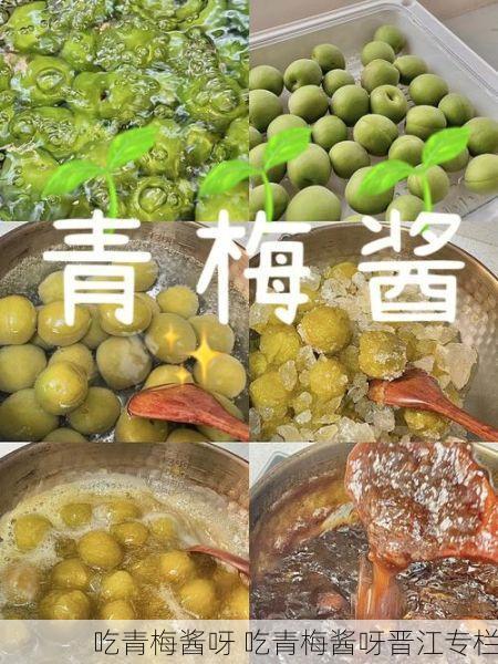 吃青梅酱呀 吃青梅酱呀晋江专栏