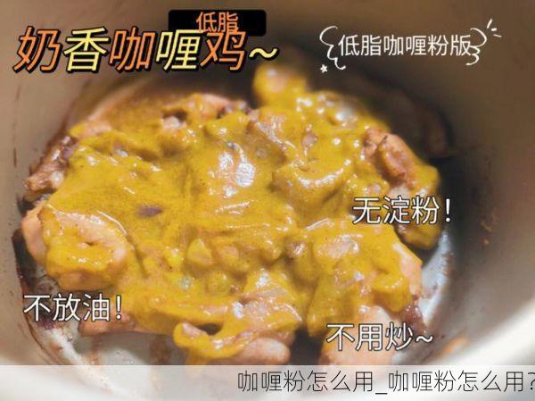 咖喱粉怎么用_咖喱粉怎么用?