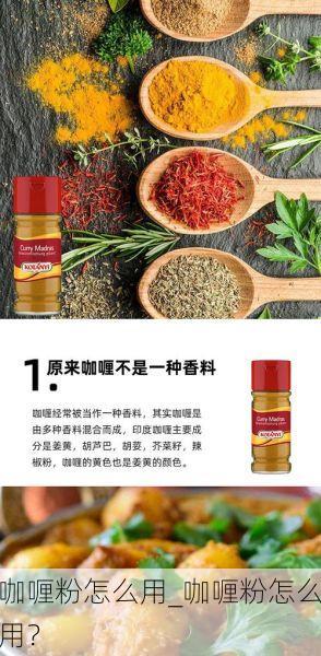 咖喱粉怎么用_咖喱粉怎么用?